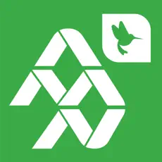 AMN Interpreting Icon